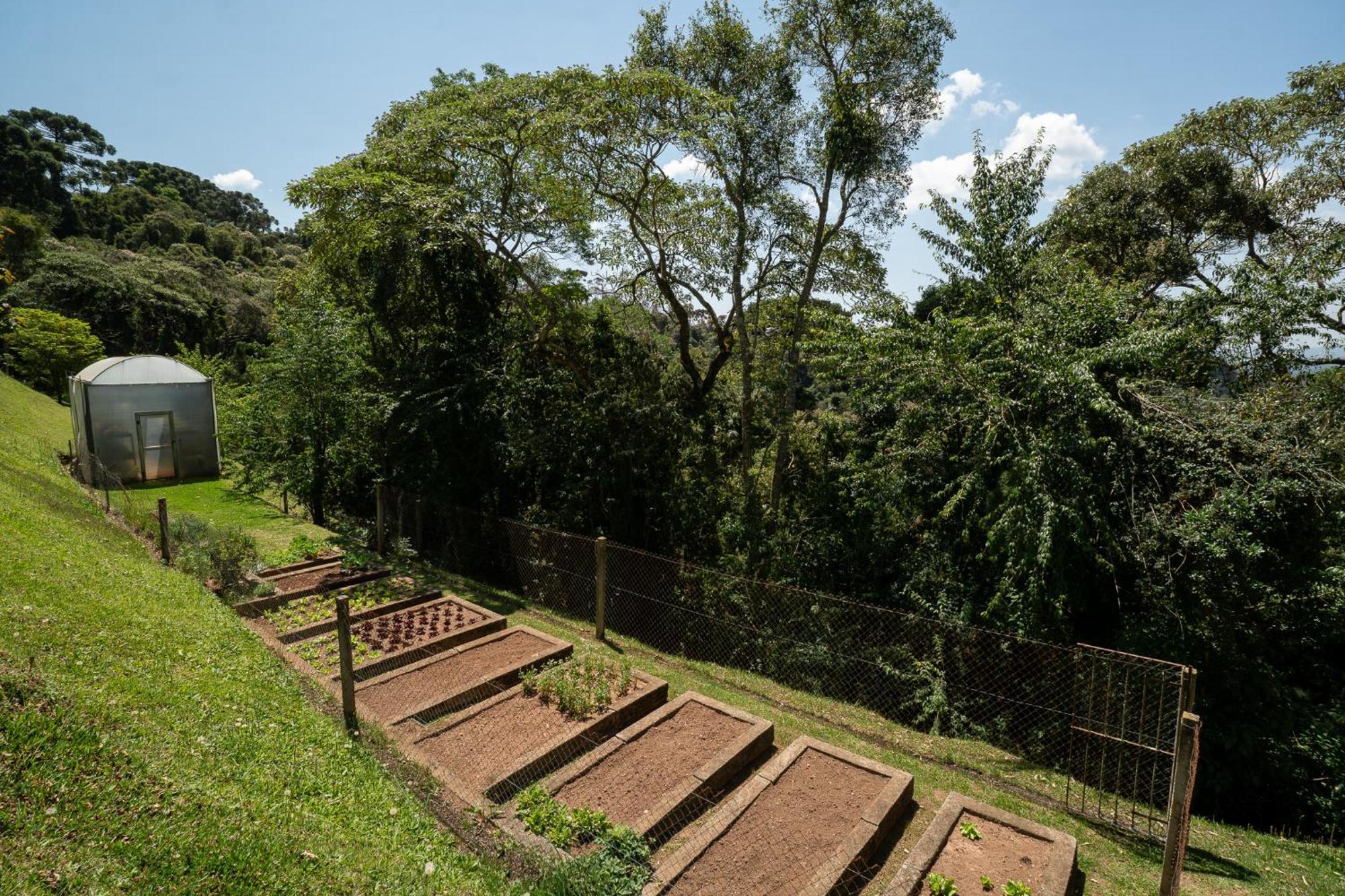 Apartment Charme E Conforto No Alto Na Montanha - *